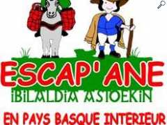 picture of ESCAP'ANE EN PAYS BASQUE INTERIEUR