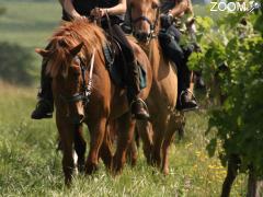 Foto Découvrez le vignoble de Bordeaux à pied, à cheval ou en voiture
